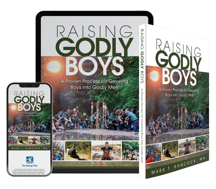 Godly Boys eBook